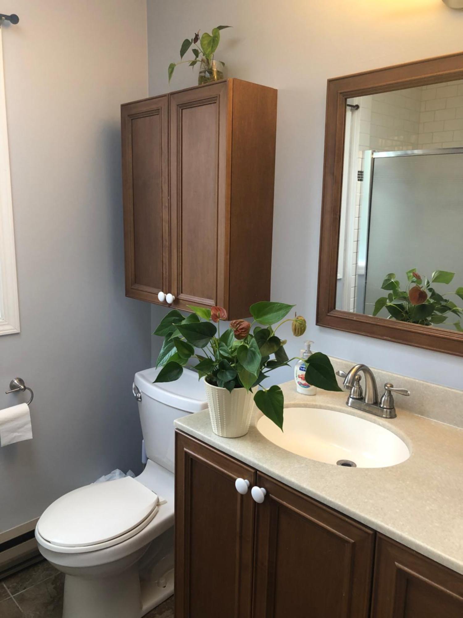 The Sunshine House-Free Parking Bed and Breakfast Vancouver Rum bild