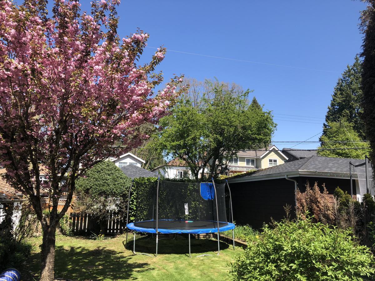 The Sunshine House-Free Parking Bed and Breakfast Vancouver Exteriör bild
