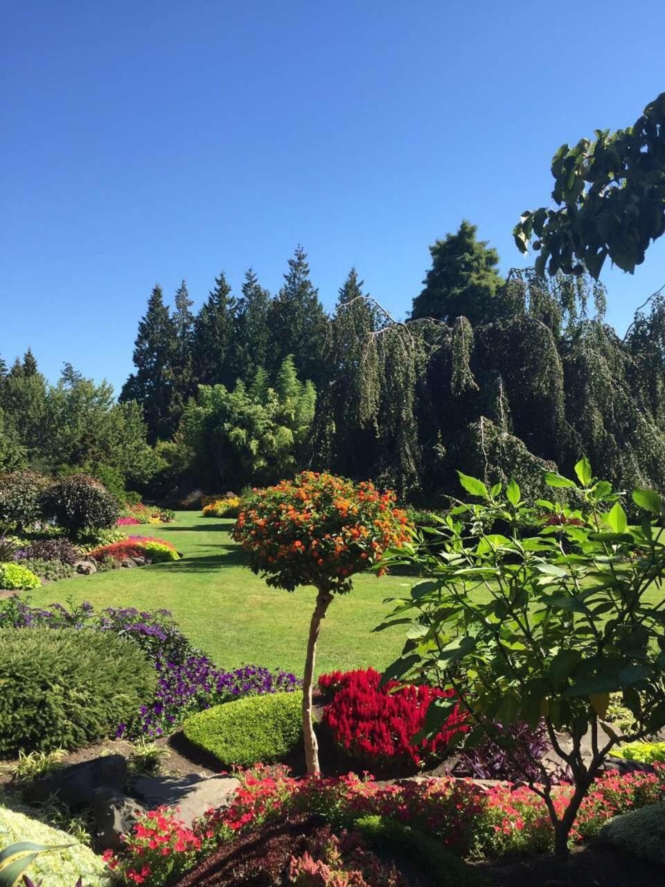The Sunshine House-Free Parking Bed and Breakfast Vancouver Exteriör bild