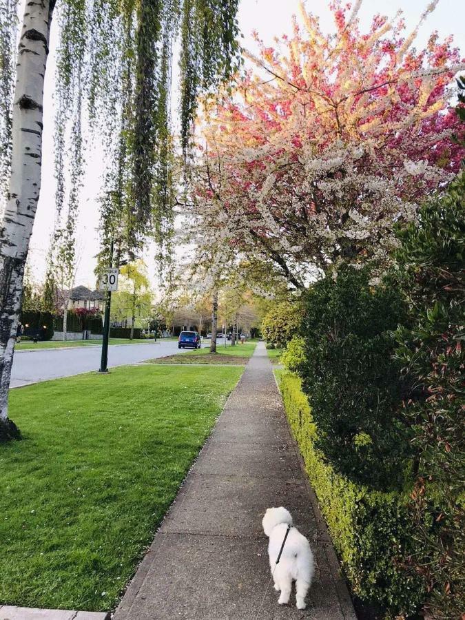 The Sunshine House-Free Parking Bed and Breakfast Vancouver Exteriör bild