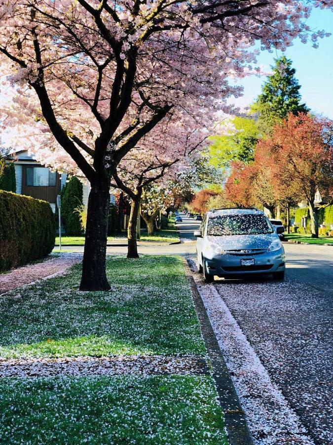 The Sunshine House-Free Parking Bed and Breakfast Vancouver Exteriör bild